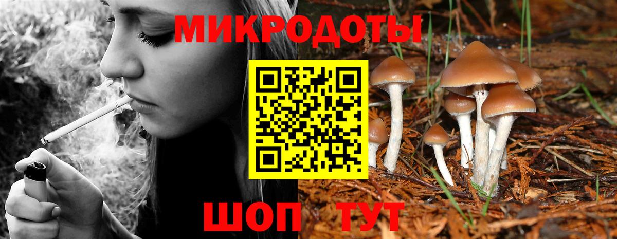 Бутурлиновка  купить  цена  Вход с VPN  Псилоцибиновые грибы прущие грибы 